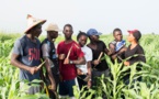 SENEGAL : ‘’Ferme factory’’, fin de la saison 1 de la première émission de téléréalité au service de l’agriculture