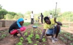 AGRICULTURE : L’ANIDA prévoit de réaliser 450 fermes agricoles d’ici à 2019 AGRICULTURE : L’ANIDA prévoit de réaliser 450 fermes agricoles d’ici à 2019