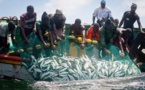 Secteur halieutique: Bonne tenue des débarquements de la pêche, en variation trimestrielle