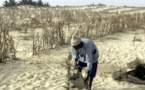 Le Sénégal, deuxième pays d’Afrique à adhérer à la Convention sur l’eau