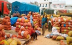 Sénégal: Les importations sont en hausse de 16% en juillet Sénégal: Les importations sont en hausse de 16% en juillet
