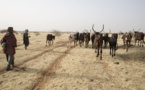 L’ONU appelle à aider le Sahel à faire face au changement climatique