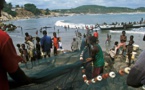 Afrique de l’Ouest : Vers la mise en œuvre d’un nouveau projet de la FAO intitulé ‘’initiatives côtières de la pêche’’