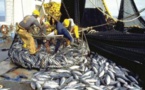 Sénégal : L’activité de pêche plonge au 3eme trimestre