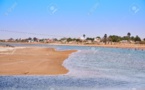 Sénégal :Un acteur de la protection de la nature plaide pour le dragage et la désalinisation de la lagune de Somone