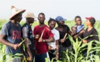 Réduction de l’émigration rurale dans le Bassin arachidier :  L’Agence belge Enabel poursuit sa campagne de sensibilisation