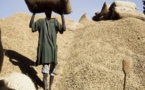 Agriculture: Macky Sall souhaite une campagne sans faute