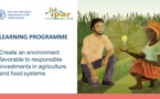 Investissement responsable dans l’agriculture : La Fao lance un nouveau programme d’apprentissage