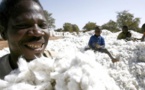 Sénégal : Plongeon de l’activité de production des industries textiles et du cuir au mois de février