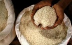 Sénégal :  Le prix du kilogramme du riz parfumé a progressé de 1,6% en Avril