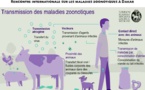 Evaluation conjointe des risques de zoonoses :  Le personnel de la Fao, de l’Oie et de l’Oms outillé