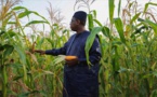Agriculture au Sénégal : la donne sera nouvelle si…