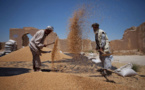 Le nombre de pays tributaires des produits de base au plus haut niveau depuis 20 ans (CNUCED)