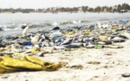 REJETS INDUSTRIELS, DÉCHETS MÉNAGERS, PÉRIL PLASTIQUE : LES COTES SENEGALAISES, A L’AGONIE!
