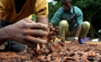 Uemoa :  Les cours des matières premières exportées en baisse en mai 2019