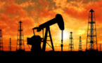 Secteur du pétrole: Un rapport dresse des perspectives radieuses