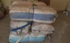 Lutte contre le trafic de drogue : La Subdivision des Douanes de Kaolack saisit 300 kg de chanvre indien