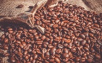 La production mondiale de café est attendue à environ 10,065 millions de tonnes pour la campagne caféière 2018/2019