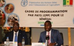 Cadre de Programmation par Pays: La FAO débloque 29 milliards Fcfa d’ici 2023 Cadre de Programmation par Pays: La FAO débloque 29 milliards Fcfa d’ici 2023