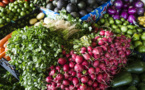 Près d'un tiers de la nourriture produite est perdue : la FAO appelle à arrêter le gaspillage alimentaire