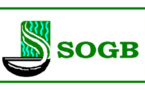 SOGB : Un résultat net de 4, 143 629 159 milliards de FCFA au 1er semestre 2019