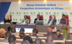 Perspectives économiques en Afrique  2020 : La Bad recommande d’investir dans les Stim