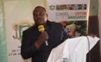 Côte d’Ivoire : « tolérance zéro » pour ceux qui organisent la fuite des noix de cajou vers les pays frontaliers