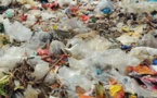Lutte contre la pollution plastique : La nouvelle loi entre en vigueur en avril 2020