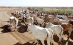 Sénégal : Bonne tenue de l’activité économique interne en décembre 2019