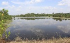 Côte-d’Ivoire : La Bad relance le projet aquacole de Dompleu