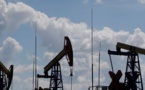 Le baril de pétrole à 20 dollars : quelles conséquences ?