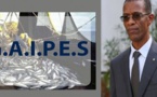 SENEGAL : La polémique entre ministère des Pêches et de l’Economie maritime et acteurs du secteur est un débat d’ordre national (APRAPAM)