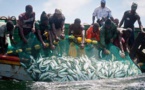 Sénégal : Forte baisse de l’activité économique interne  au mois d’Avril