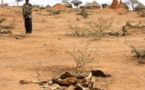 Programme d’urgence COVID-19 : Le BMZ assure les pays africains contre la sécheresse