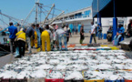 Sénégal : Les débarquements de la pêche en hausse de 26,5% au premier trimestre 2020