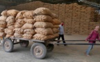 Commercialisation du riz en Afrique :  L’Ipar et ses partenaires identifient trois domaines de réforme