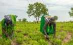 La pauvreté dans le monde est en hausse après des décennies de progrès et les femmes sont les plus touchées