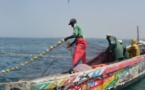 Sécurité en mer au Sénégal : vers une ‘’solution innovante’’ de suivi VMS adaptées aux petites embarcations pour leur géolocalisation