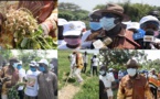Mamadou Ndione Directeur général du COSEC :  la relance de l’économie sénégalaise passe par la relance agricole