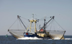 Afrique de l’Ouest : Greenpeace accuse les multinationales de la pêche de pillage des océans
