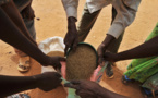 Insécurité alimentaire et crise  nutritionnelle au Centre Sahel : Des agences  des Nations-Unies appellent à l’assistance aux plus vulnérables