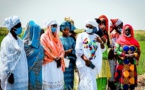 Financement de la campagne hivernale 2020 des femmes agricultrices : La Bicis alloue 350 millions Cfa aux membres du Refan