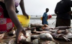 Sénégal : Consolidation de l’activité économique interne au mois de septembre
