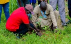 Déploiement du Pse vert au niveau national : Macky Sall demande l’intensification des actions