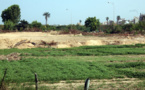 Impact des projets appuyés par le Fida au Sénégal : Amélioration des productions et des revenus chez les petits producteurs