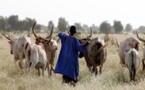 Sénégal : Hausse de l’activité économique interne au mois d’octobre
