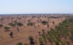 Banque africaine de développement : Plus de 36% des approbations consacrées à la finance climatique en 2019