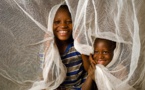 L'élimination du paludisme, pourquoi le secteur privé doit jouer son rôle