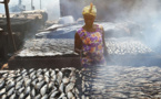 34ième COFI de la FAO : la CAOPA donne son point de vue de vue sur les enjeux de la pêche artisanale