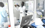 Sénégal : Forte hausse du secteur tertiaire en décembre 2020